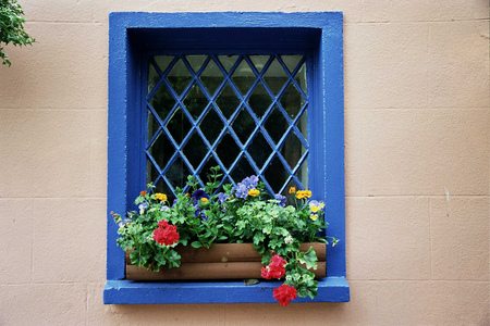 blue window - window, fullcolor, beautiful, blue, wooden pot, flowers