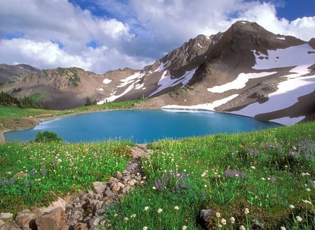 Alpine - flowers, lake, mountains, nature