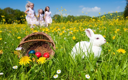 Easter - girls, fun, yellow flowers, animals, joy, colorful, easter, field, spring, white, eggs, rabbit, yellow, children, easter eggs, rodents, holiday, daisies, grass, landscape, lovely beautiful, child, white rabbit, nature, beautiful, happy, sky, trees, daisy, basket, happy easter, bunny, sweet cute, clouds, dandelion, green, egg, wild flowers, girl, colored eggs, red, blue, flowers, colors