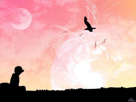 Moons - sky, bird, pink, silhouette, moon, abstract