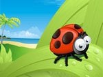 Ladybug