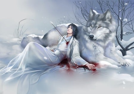 GREY WOLF - wolf, wounded, blood, arrow, tree, grey, male, snow