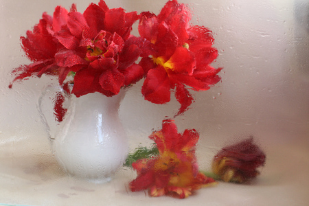 the silent tears - tears, glass, raindrops, silent, still life, vase, red, beautiful, flowers