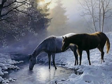 Winter horses - nature, horse, snow, river, winter, animal, tree