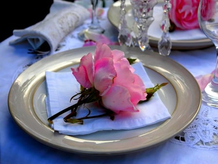 DINNER WITH THE QUEEN - decoration, pink, wine glass, towel, dinner, queen elizabeth rose, plate