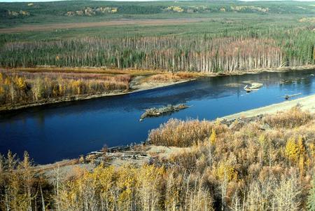 Beaver river - picture, nature, river, wall, water, wallapaper, photo, beaver