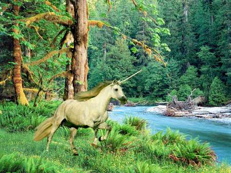 unicorn-comp-064 - river, fantasy, unicorn, other, ferns