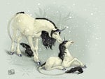 Unicorns_in_the_Snow_by_Aomori