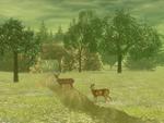 Deers in the meadow