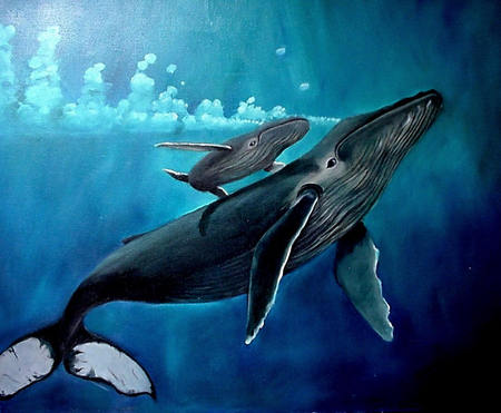 whales - 3d, fish, painting, other