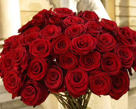 Wonderful roses - roses, amazing, beauty, flower, bouquet, flowers, red, rose, wonderful flowers