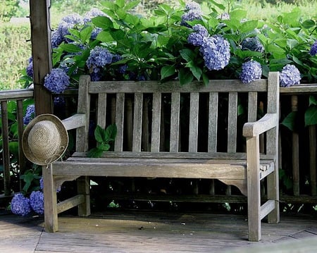 hat - hat, bloom, flowers, bench