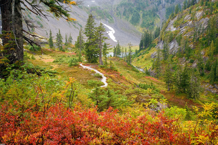 Springtime In The Meadows - pretty, yellow, landscape, snow, tranquil, serene, awaking, grass, mountain, view, nice, trees, trails, water, beautiful, photography, beauty, colors, lovely, cool, valley, orange, colours, river, nature, green, autumn, mountains, rocks