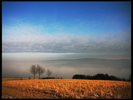 Field - field, sky, nature, grass