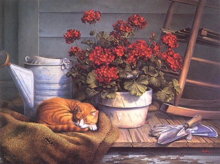 cat nap - watercan, flowerpot, porch, rocker, gardentools