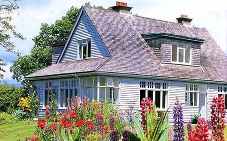 summer - windows, floers, house, yard, garden