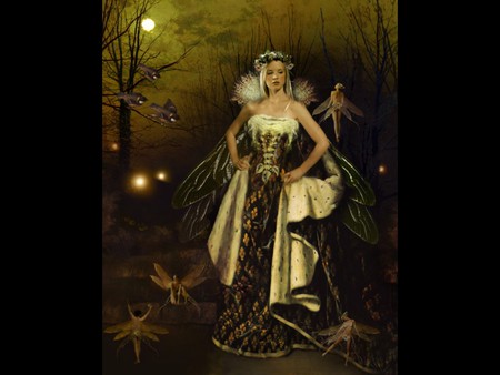 FAERIE TALES - fairies, moon, birds, female, wings, night, forest