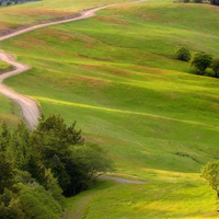 Bald Hills Road