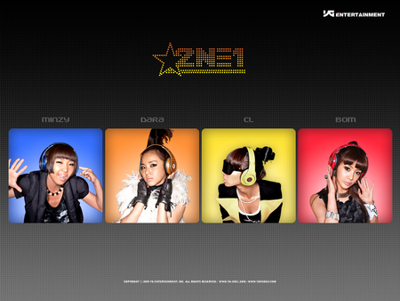 2NE1* - girls, seoul, 2ne1, korean