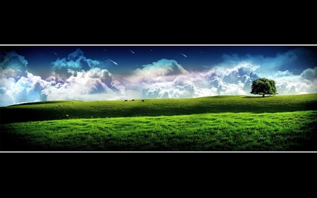 nature_wallpaper - nature, sky, trees, beautiful, blue, green, grass