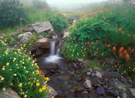 Creek falls - nature, falls, forests, rocks