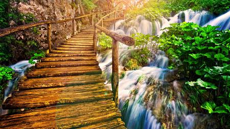 bridge  over - woodbridge, steps, waterfalls, plants, rocks