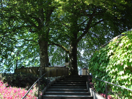 green staircases - shade, park, staircases, trees