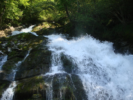 swiss waterfall - water, switzerland, nature, waterfall