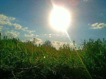 the sun - ray, beautiful, clear, sun, sky