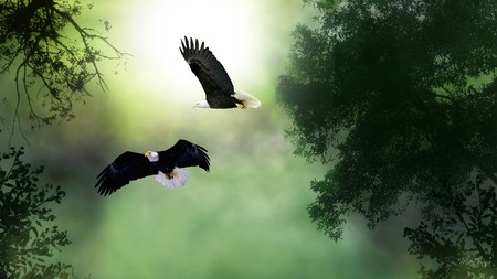 Eagles Green Moonlight - trees, birds, firefox persona, moonlight, goth, glow, green, eagles, full moon