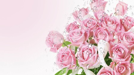 Raindrops on Roses - roses, rain, pink, flowers, bouquet, firefox persona