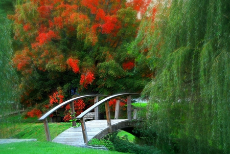 Fall Symphony - fall, symphony, beautiful, autumn, garden, japanese