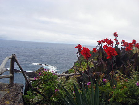 beautiful view - red, view, beautiful, flowers, sea, blue