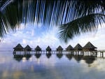 Bungalows - Cook Islands