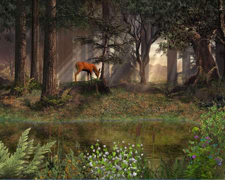 DEEP IN THE FOREST A BEAUTIFUL DEER - gorgeous, deer, scene, beautiful