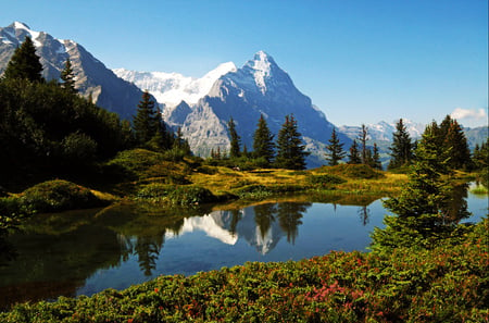 Mountains - lake, forests, mountains, nature