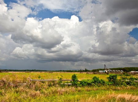 Stormy day - nature, sky, grass, storm