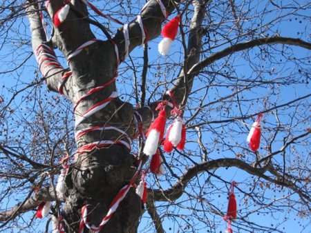 March Tree - photo, photography, month, cele, tree, nature, bulgaria, season