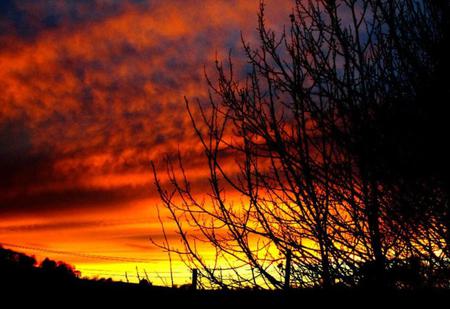 SUNSET SKY - clouds, hot, photography, colors, photo, dark, colours, sunset, nature, red, tre, sky, bulgaria