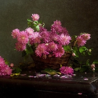 still life