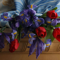 still life