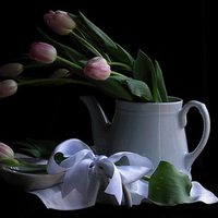 still life