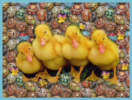 DUCKLINGS AND EGGS - eggs, easter, yellow, ducklings, wallpaper