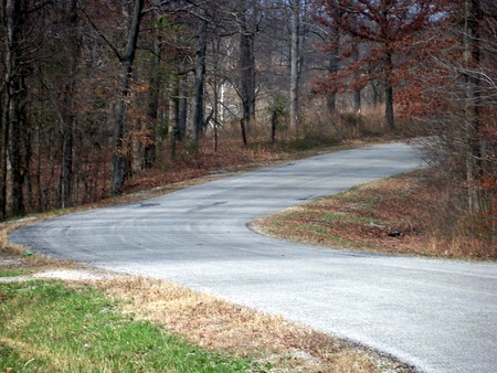 Widewatch - timberline, highway, nature, autumn