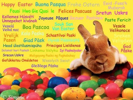 HAPPY EASTER - easter, speaks, world, bunny