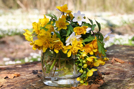 Forest flowers - white, vater, forest, beautiful, flowers, yellow, still life, glass vase