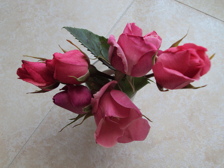 Roses for PerlaNera - vase, roses, beautiful, pink, still life