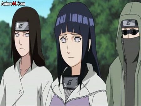 neji and hinata - ninja, konaha, naruto, other