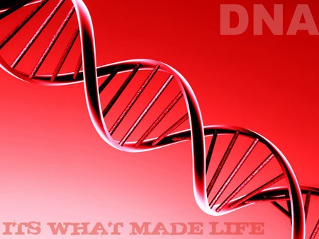 dna - dna, cool, life, red