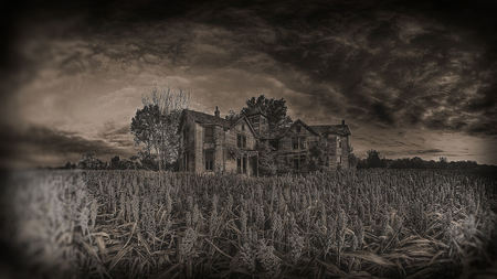 Haunted House - house, photoshop, sepia, thrilling, haunted, dark, scary, spooky, old, black and white, field, creepy